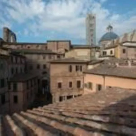 Simonetta 3*